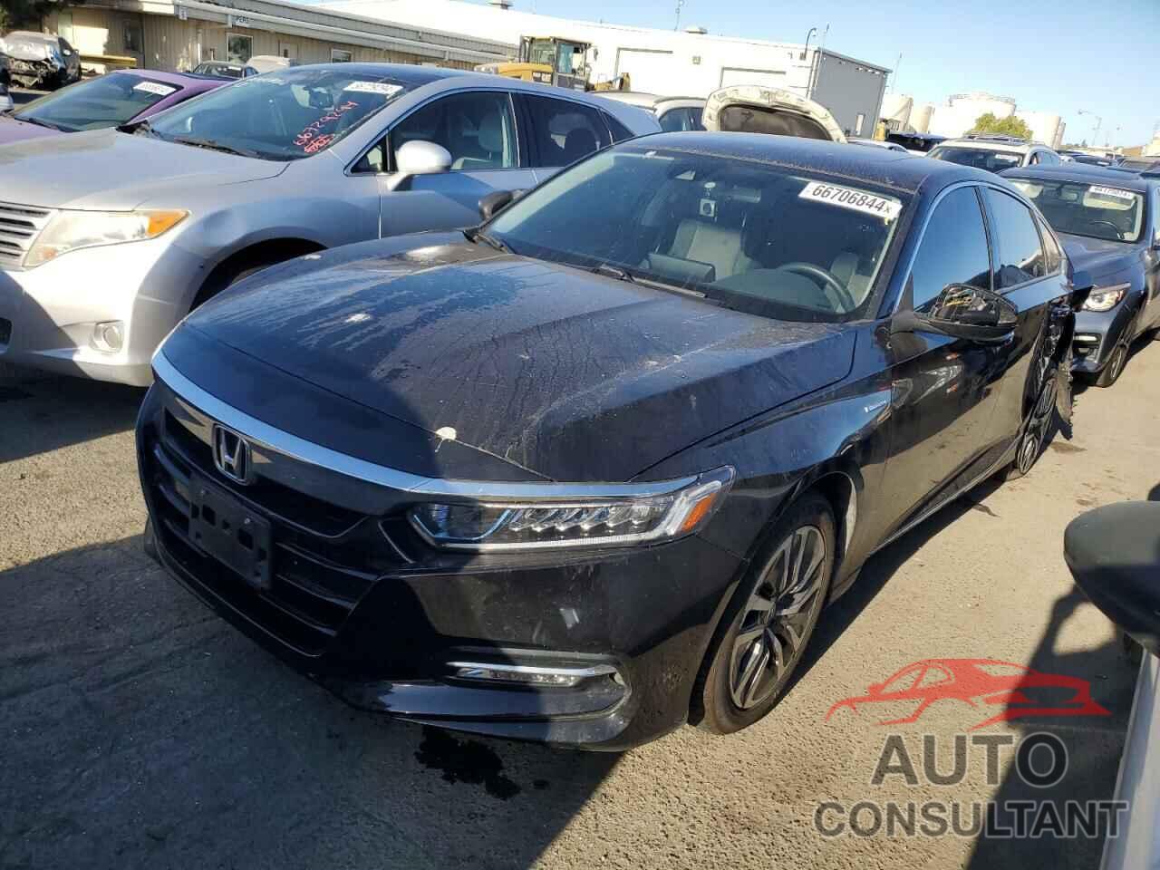 HONDA ACCORD 2019 - 1HGCV3F49KA009224