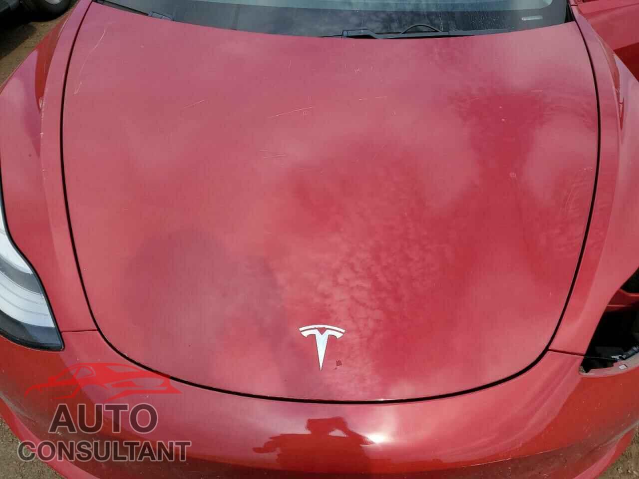 TESLA MODEL 3 2019 - 5YJ3E1EA3KF317233