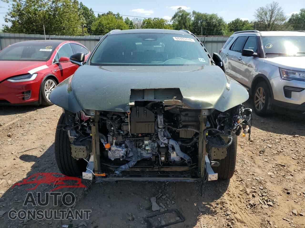 LEXUS RX350 2023 - 2T2BAMCA7PC010604