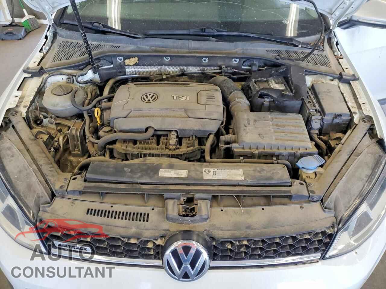 VOLKSWAGEN GOLF 2017 - 3VWH17AU2HM524265