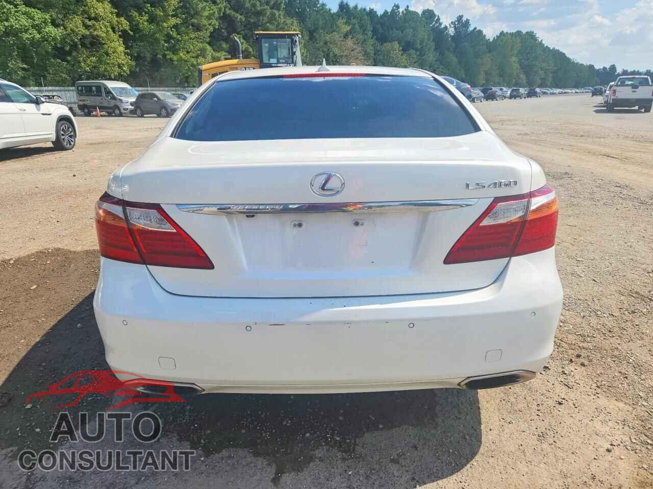 LEXUS LS460 2011 - JTHBL5EF5B5103204