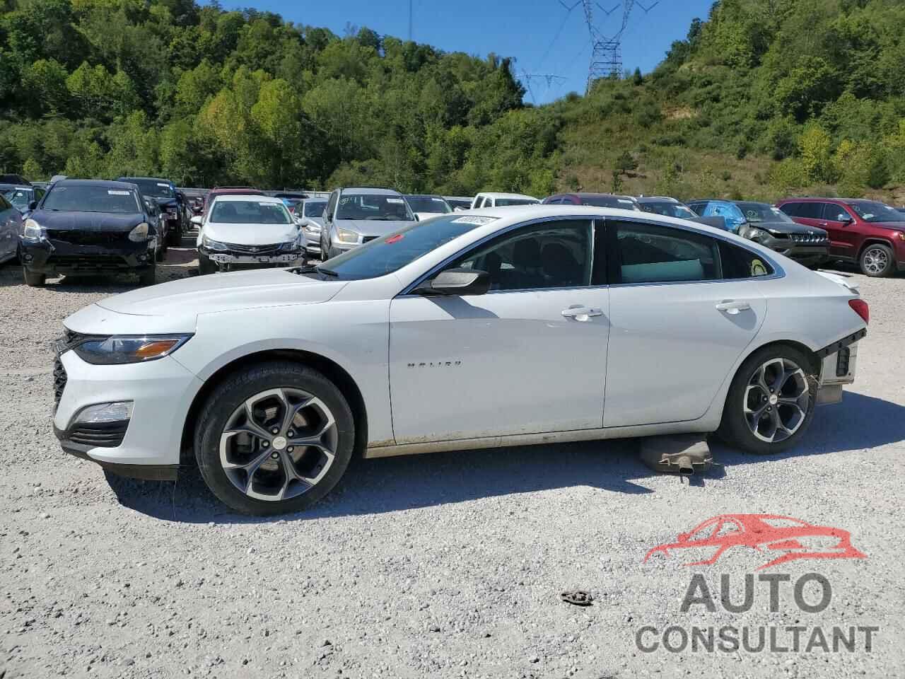 CHEVROLET MALIBU 2019 - 1G1ZG5ST3KF200323
