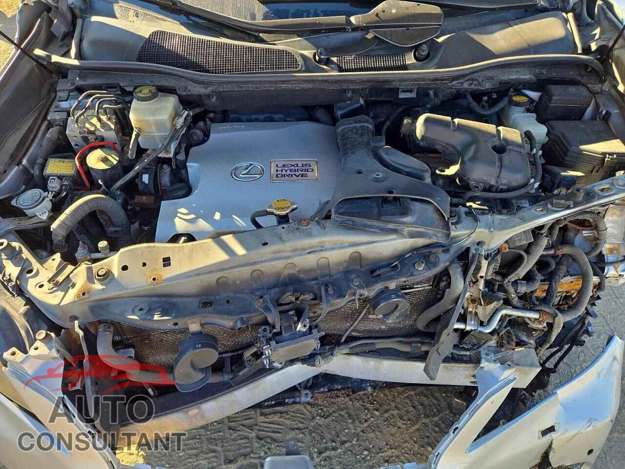 LEXUS RX450 2010 - JTJBC1BA9A2020794