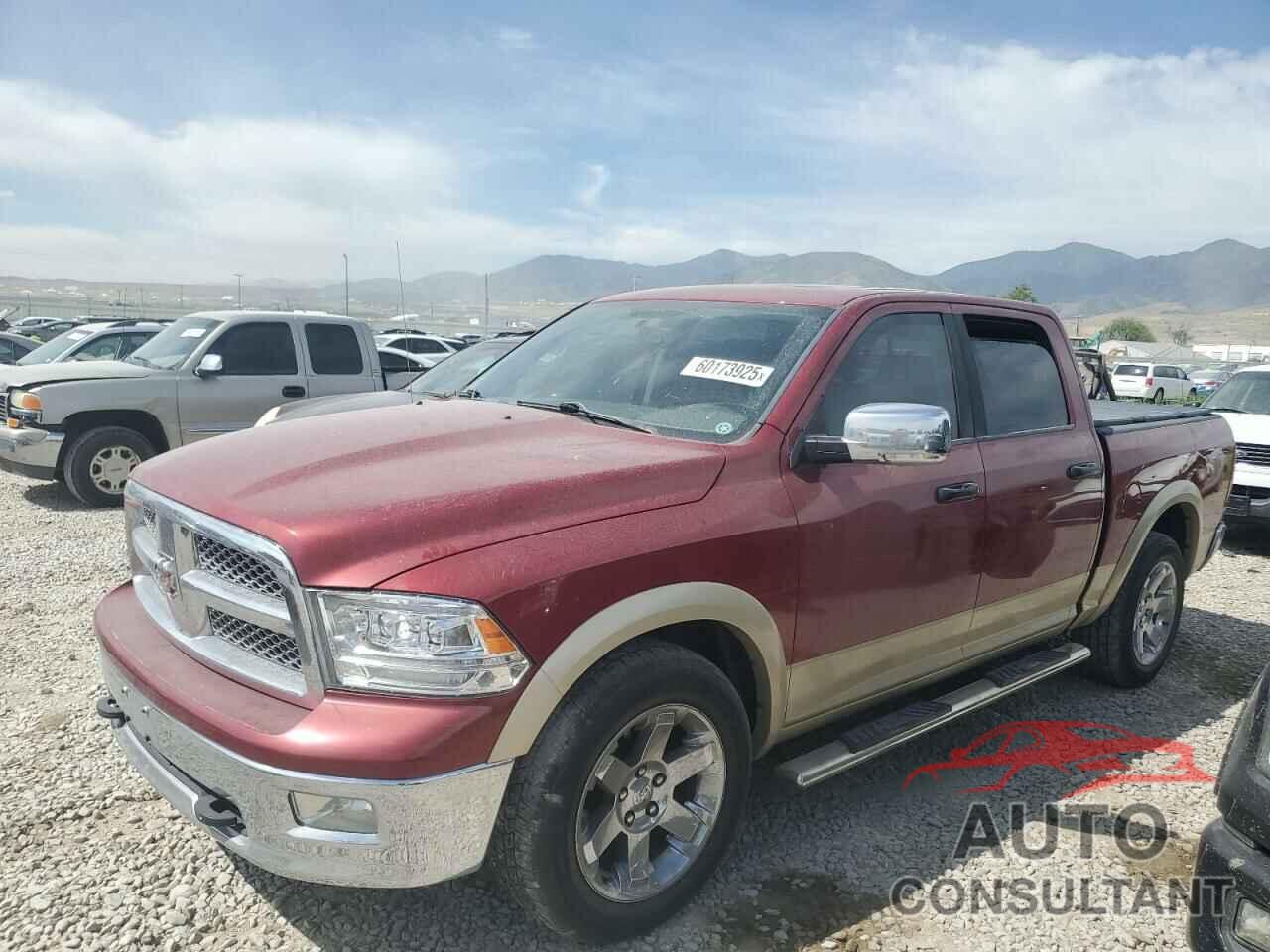 DODGE All Models 2011 - 1D7RV1CT7BS545842