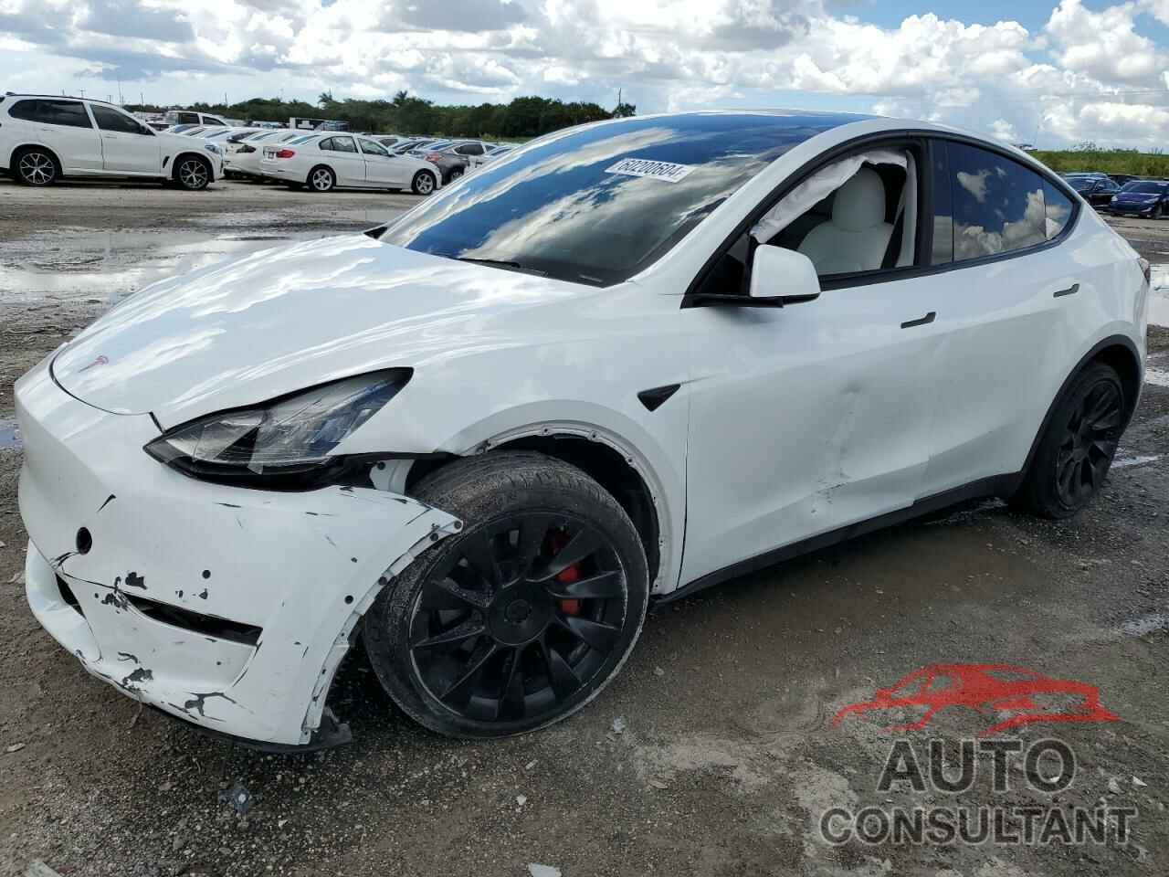 TESLA MODEL Y 2020 - 5YJYGDEE2LF051578