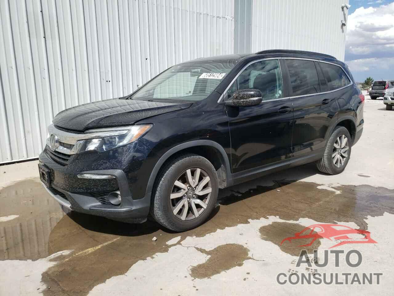 HONDA PILOT 2019 - 5FNYF6H55KB092893