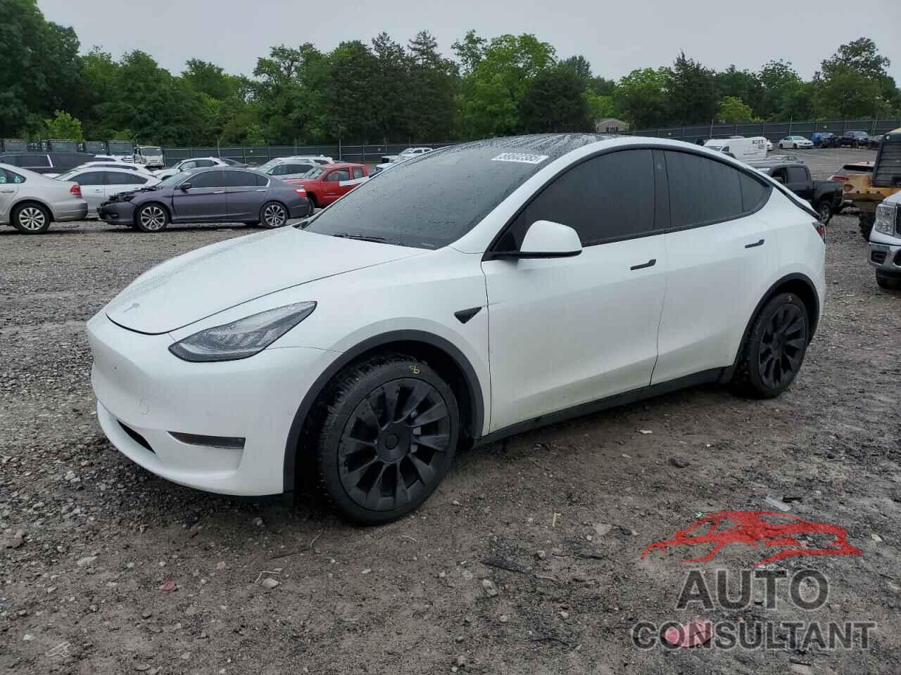 TESLA MODEL Y 2021 - 5YJYGDEE1MF078871