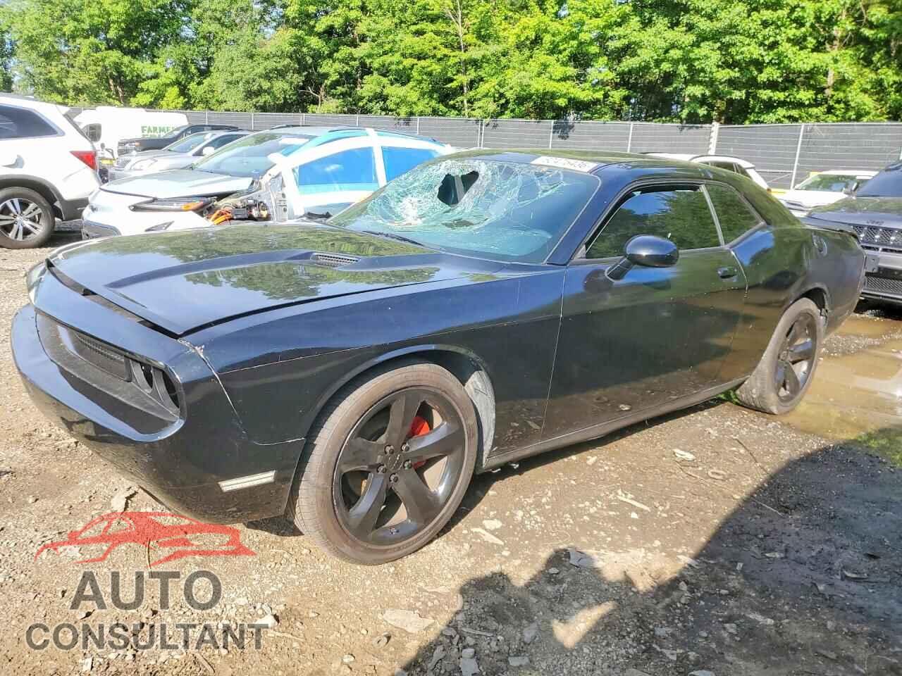 DODGE CHALLENGER 2012 - 2C3CDYAG3CH206543