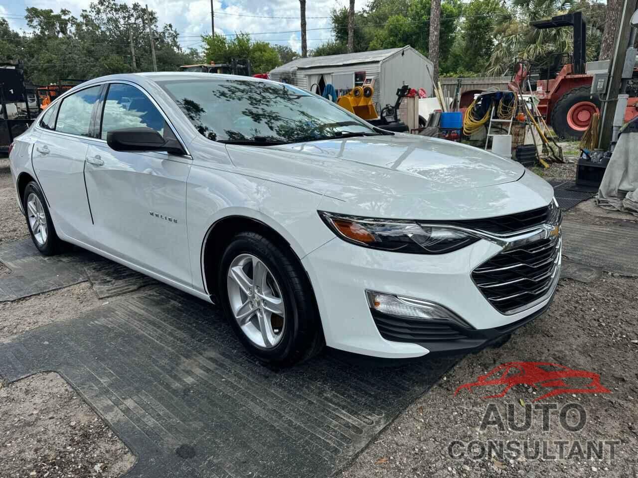 CHEVROLET MALIBU 2019 - 1G1ZB5ST3KF189533