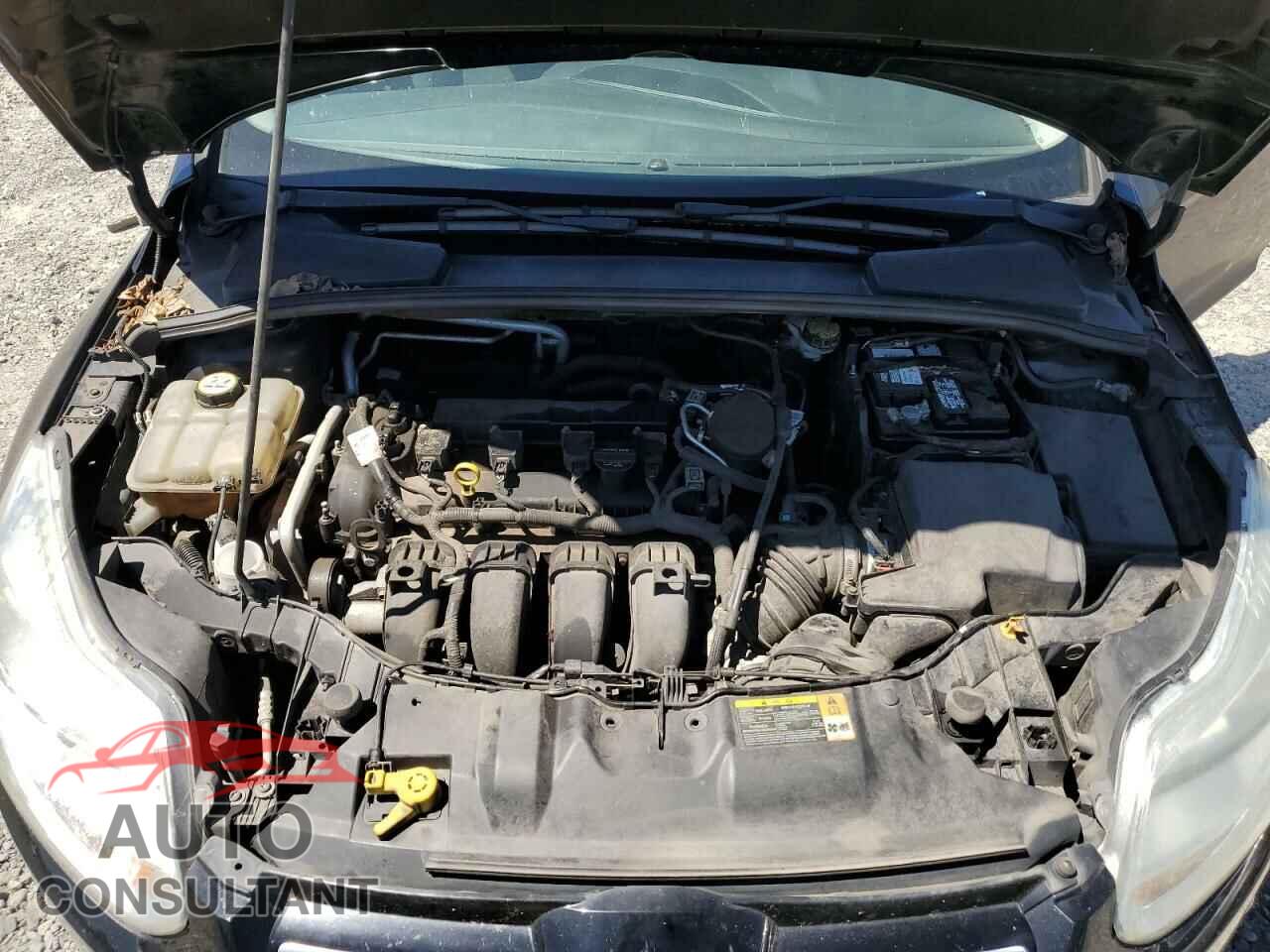 FORD FOCUS 2012 - 1FAHP3M20CL131420