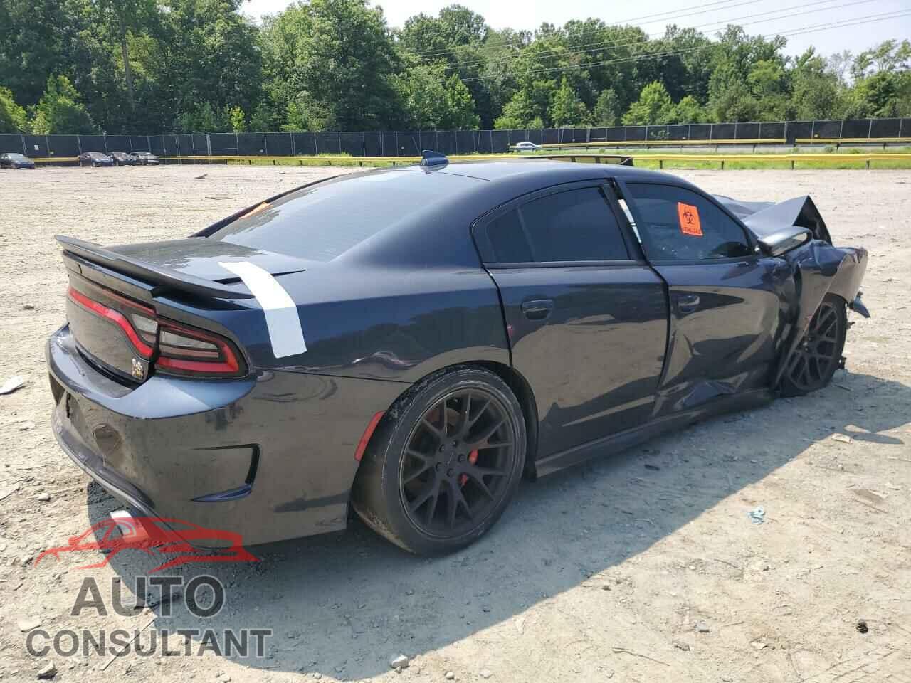 DODGE CHARGER 2017 - 2C3CDXGJ3HH603173
