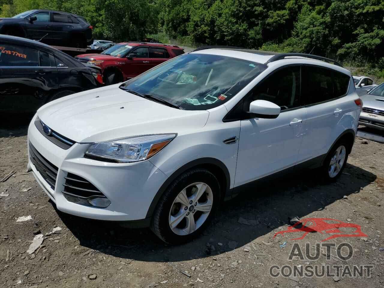 FORD ESCAPE 2016 - 1FMCU9GX7GUB10244