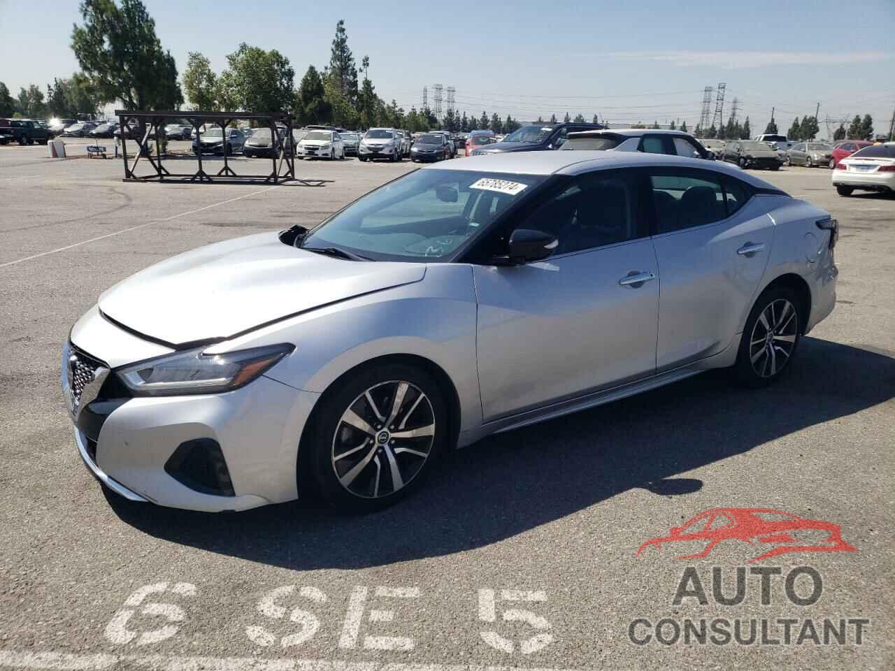 NISSAN MAXIMA 2019 - 1N4AA6AV8KC364527