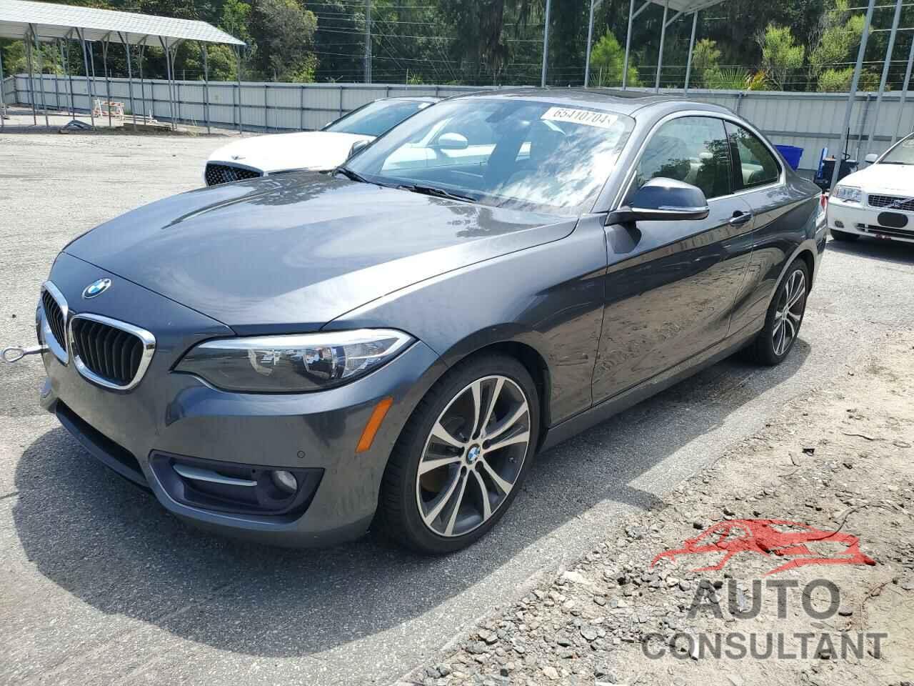 BMW 2 SERIES 2016 - WBA1F9C50GV546449