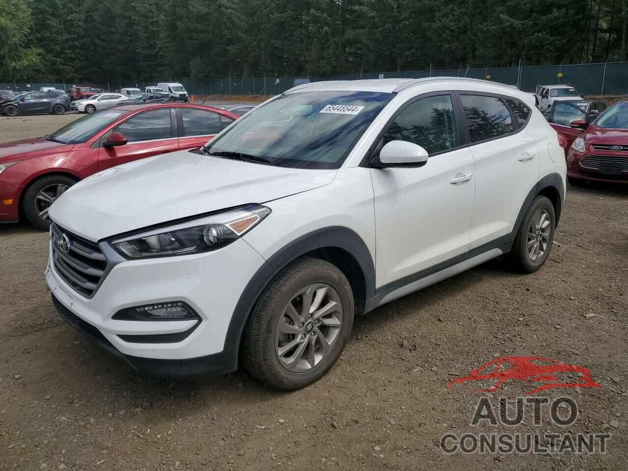 HYUNDAI TUCSON 2017 - KM8J3CA44HU515727