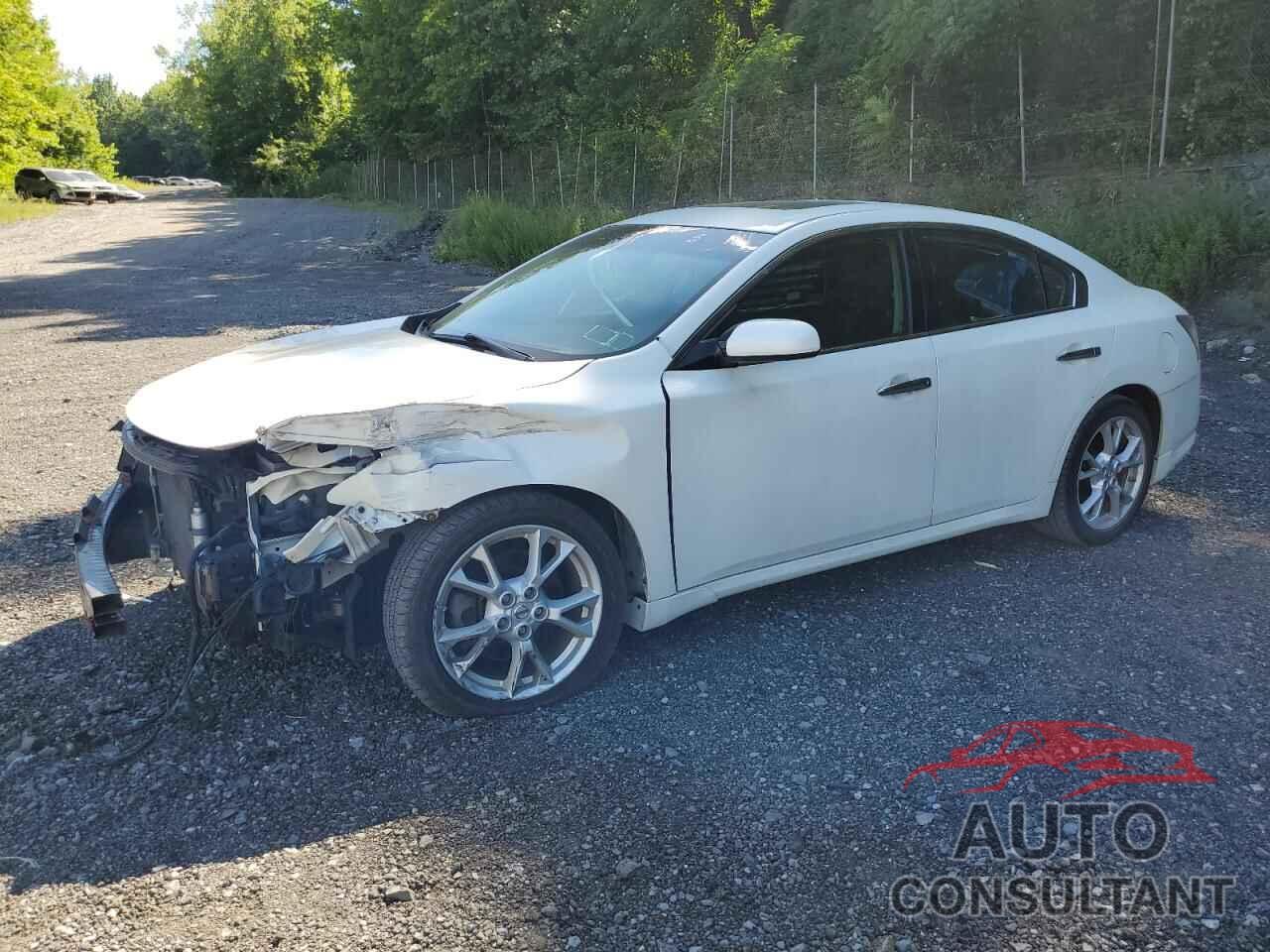 NISSAN MAXIMA 2013 - 1N4AA5AP8DC841813
