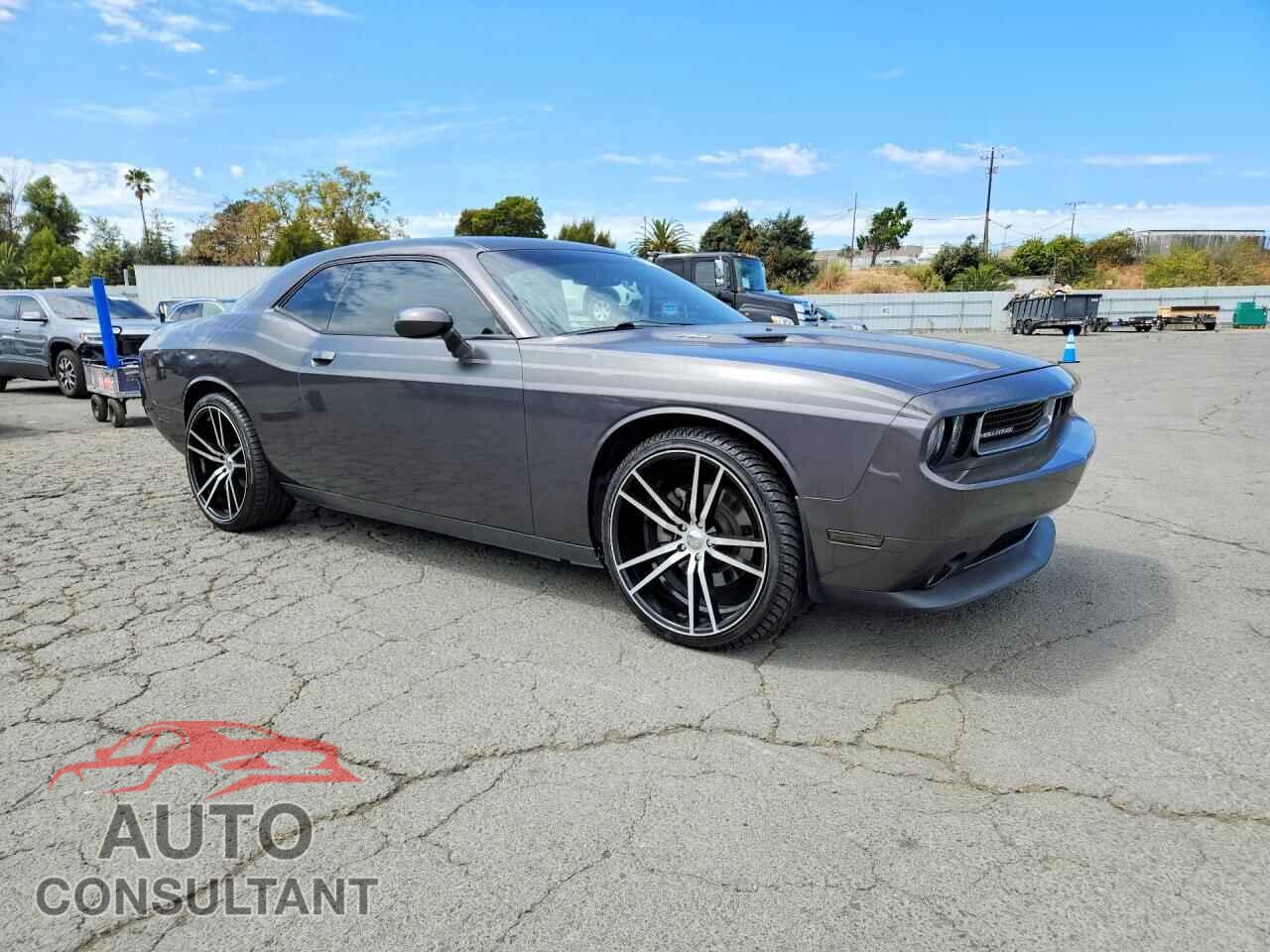 DODGE CHALLENGER 2013 - 2C3CDYBT9DH609049