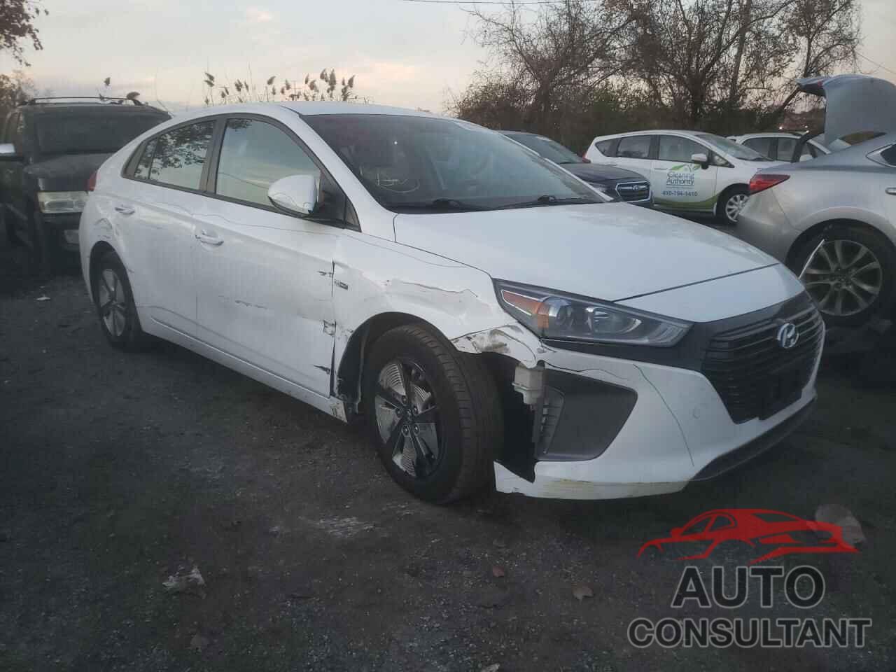 HYUNDAI IONIQ 2019 - KMHC65LCXKU179069