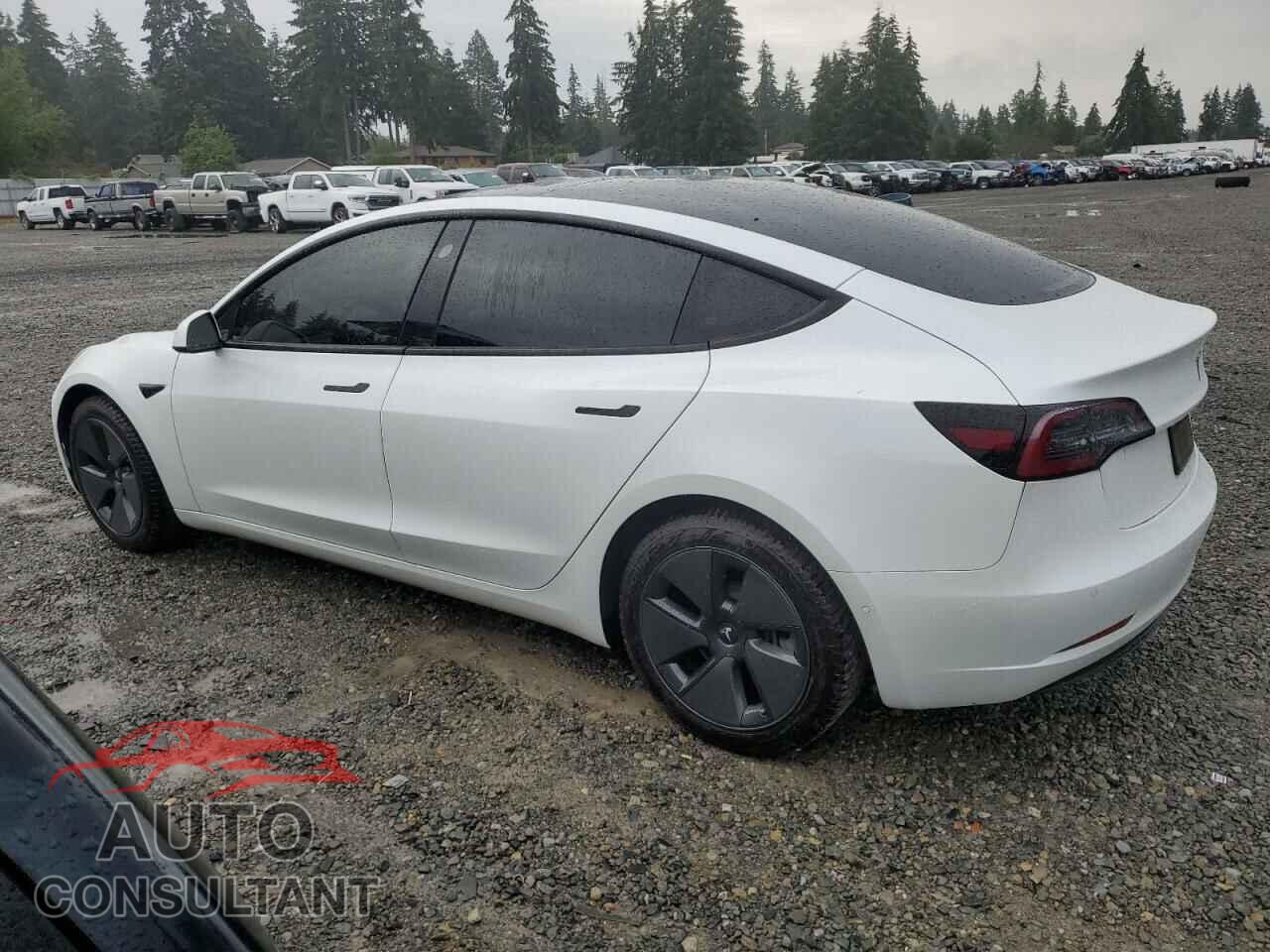 TESLA MODEL 3 2021 - 5YJ3E1EB2MF939771