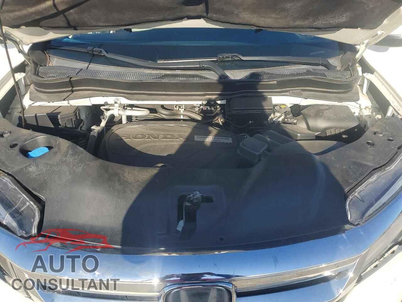 HONDA PILOT 2019 - 5FNYF6H91KB017644