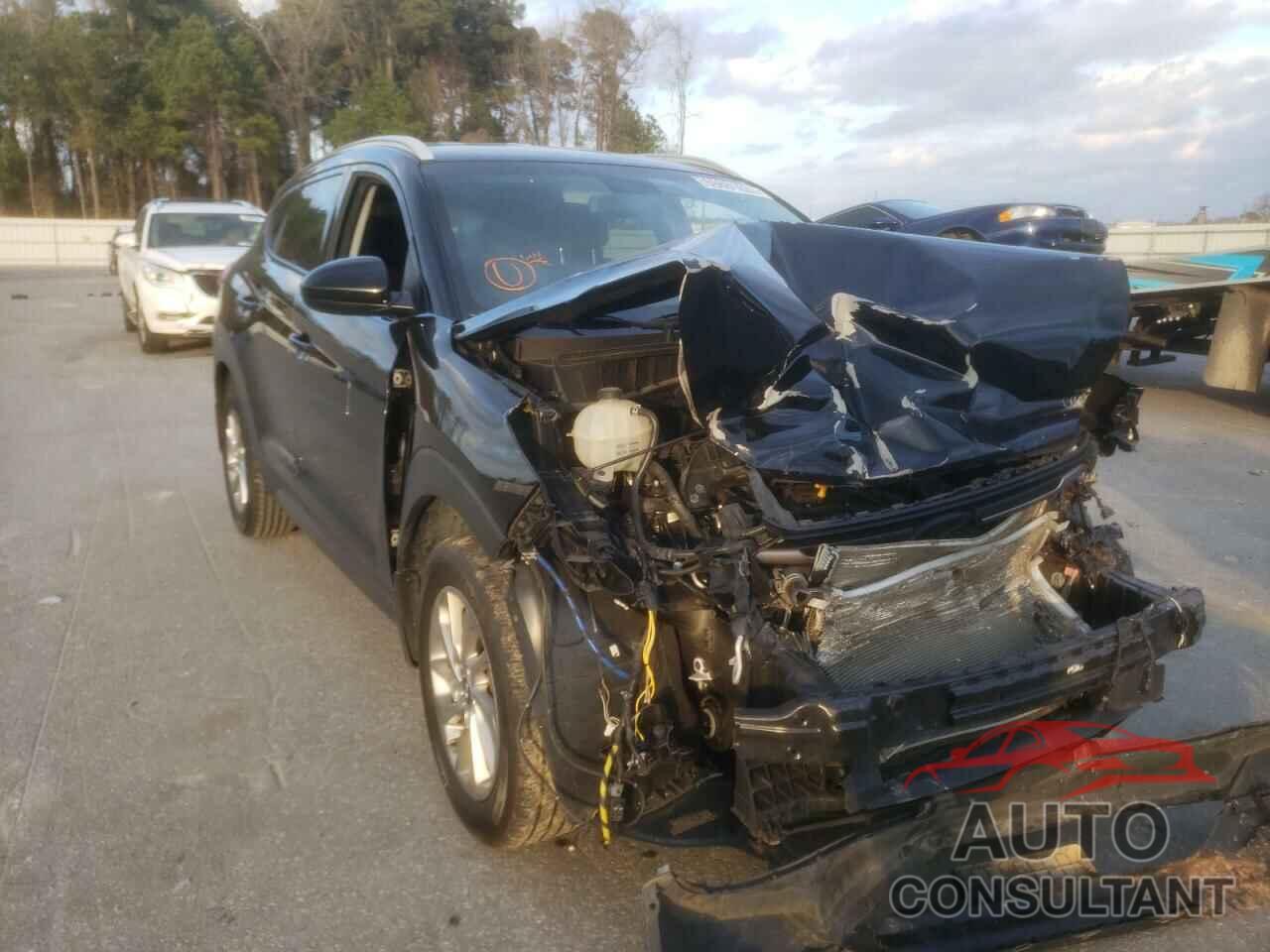 HYUNDAI TUCSON 2016 - KM8J33A44GU189412