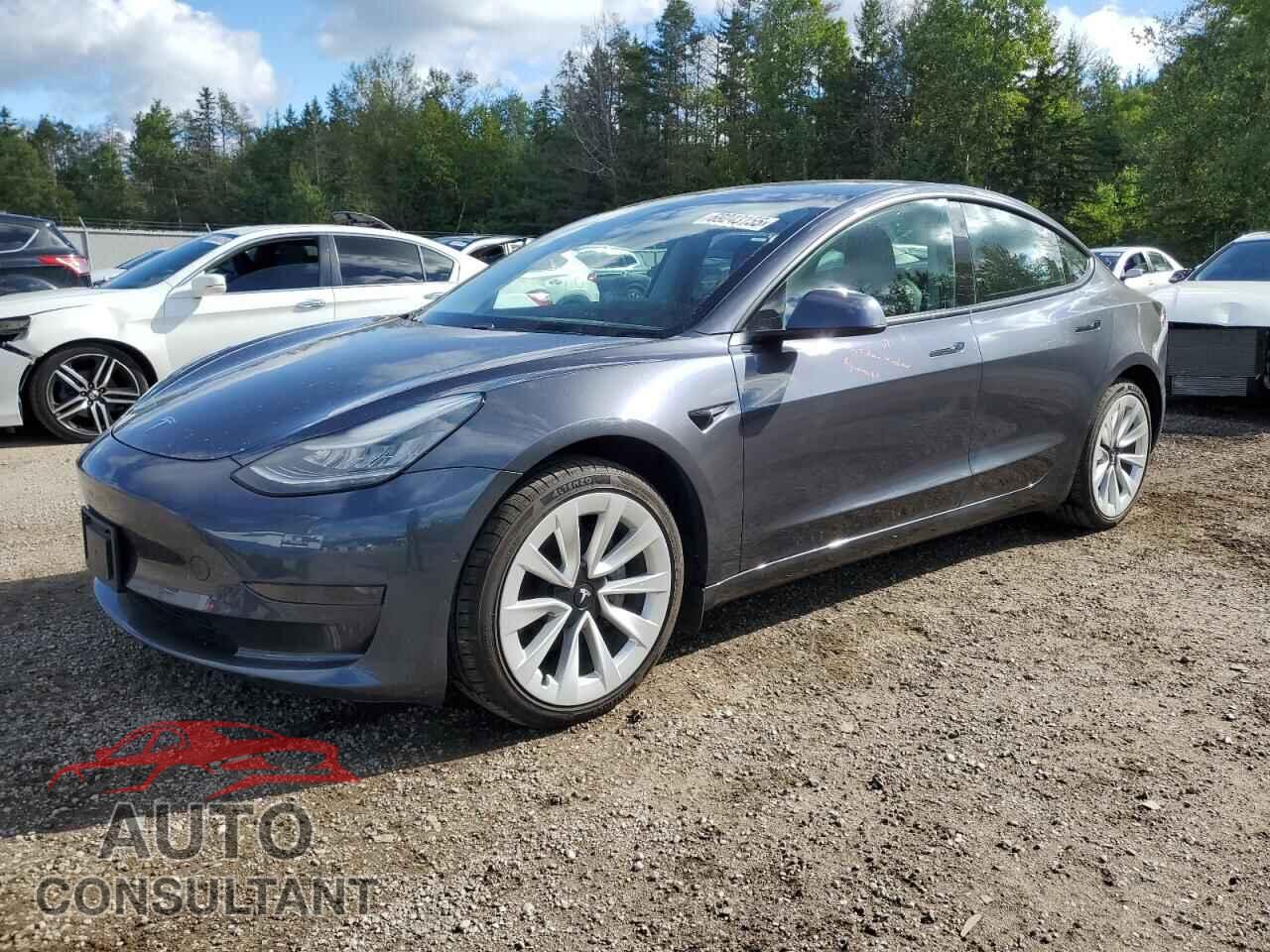 TESLA MODEL 3 2021 - 5YJ3E1EA2MF861161