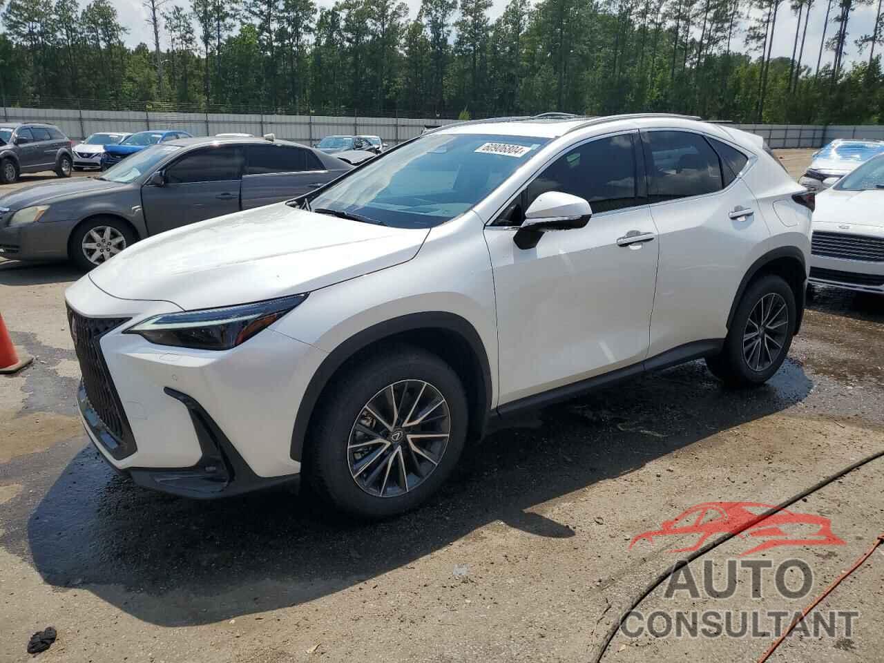 LEXUS NX 350 LUX 2024 - 2T2HGCEZ5RC056117