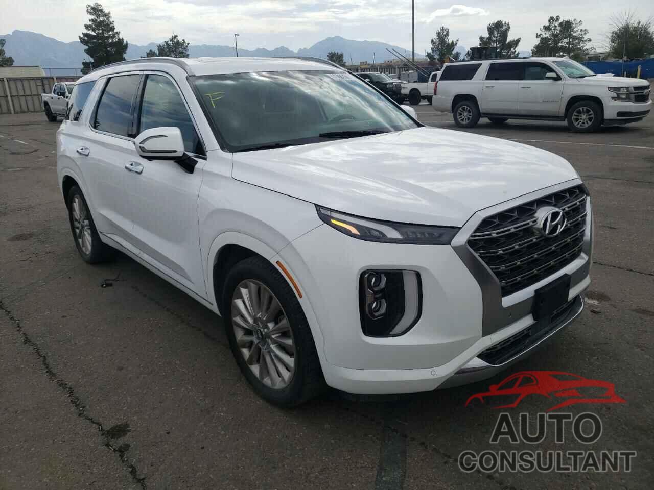 HYUNDAI PALISADE 2020 - KM8R54HEXLU041485