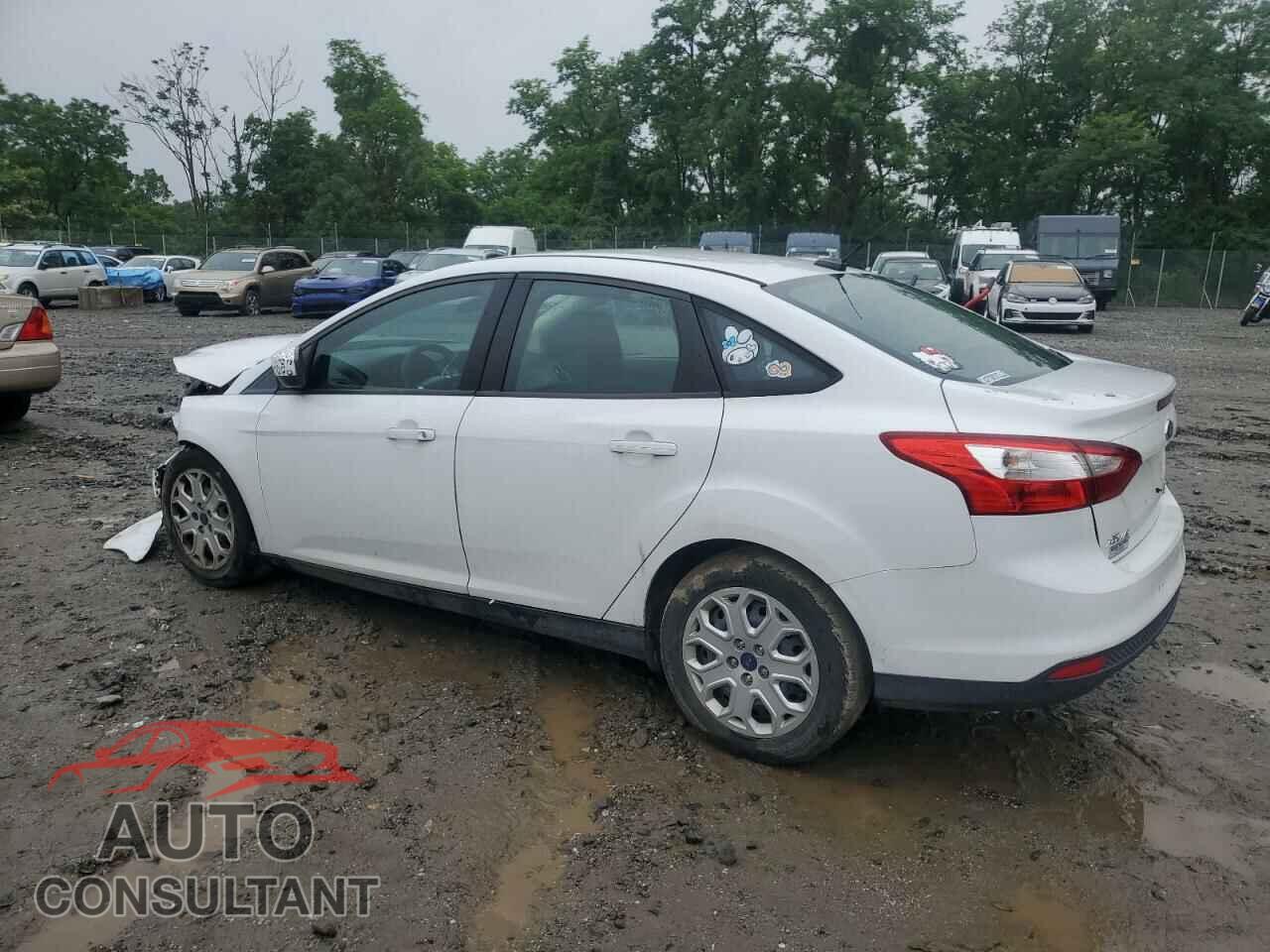 FORD FOCUS 2012 - 1FAHP3F24CL444578