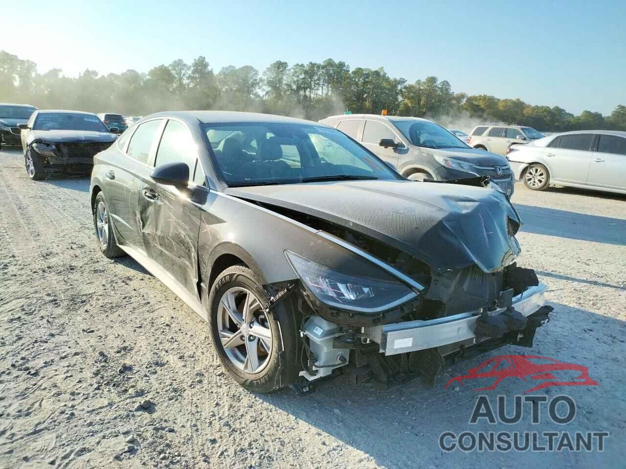 HYUNDAI SONATA 2020 - 5NPEG4JA1LH025321