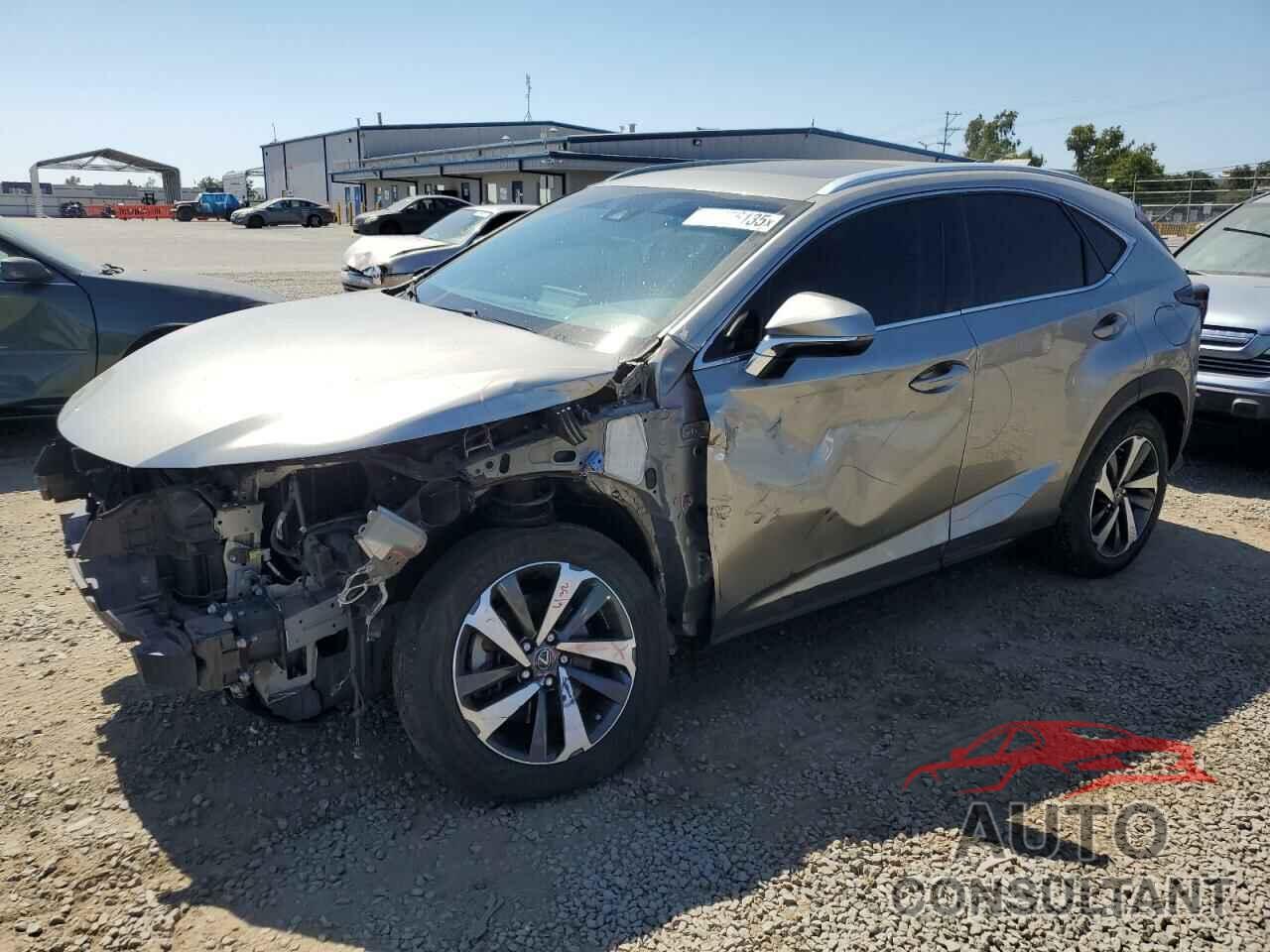 LEXUS NX 2019 - JTJYARBZ6K2119305