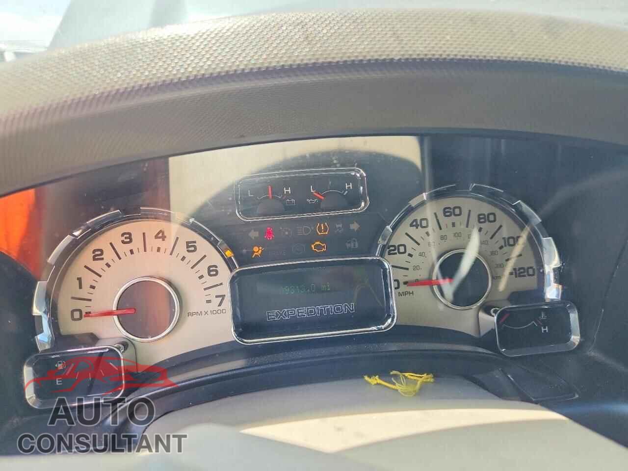 FORD EXPEDITION 2009 - 1FMFU15519LA00539