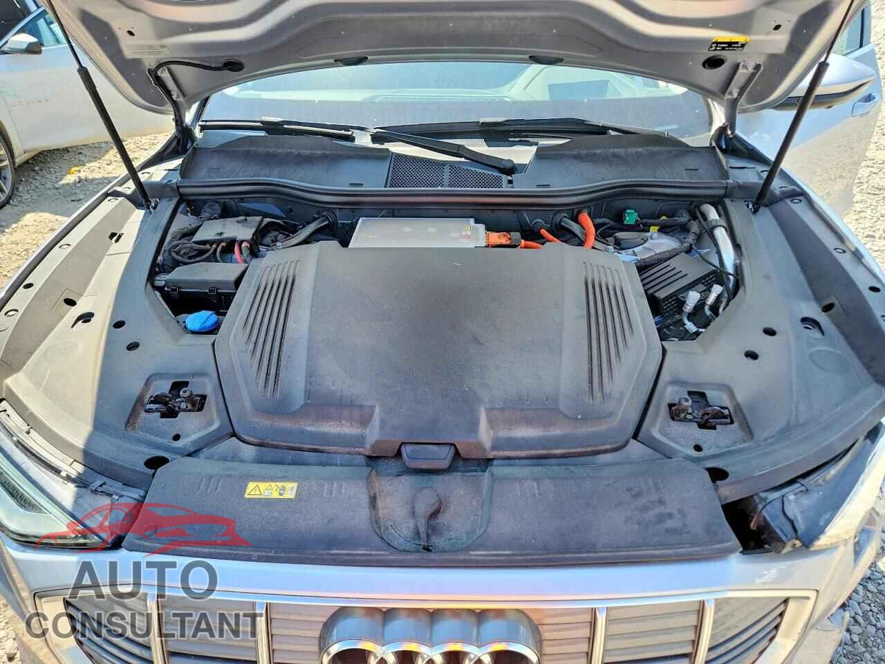 AUDI E-TRON 2019 - WA1VABGE2KB022096
