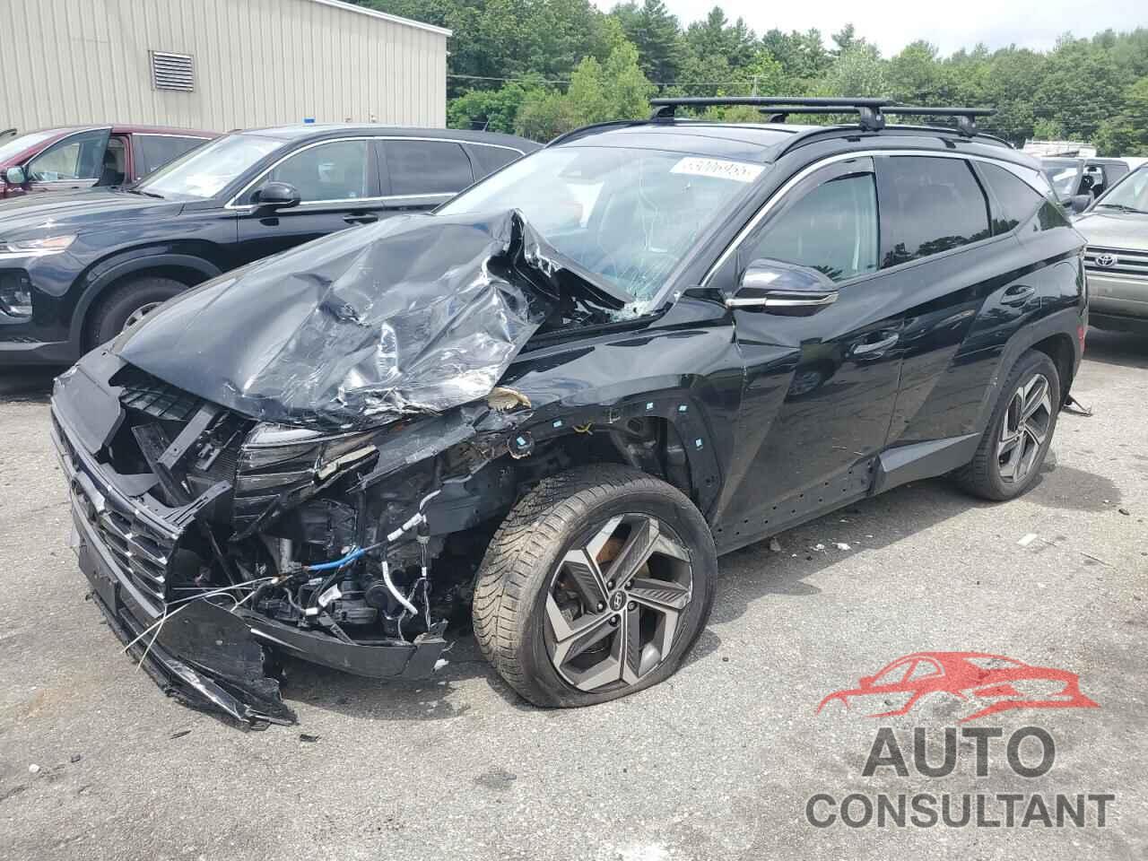 HYUNDAI TUCSON 2023 - 5NMJECAE9PH164391