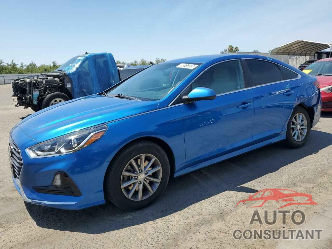 HYUNDAI SONATA 2019 - 5NPE24AF5KH754690