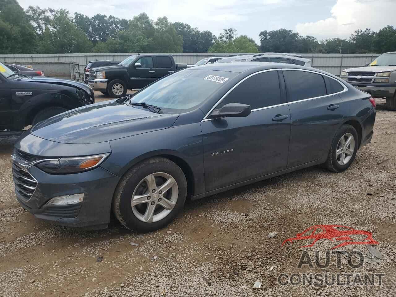 CHEVROLET MALIBU 2019 - 1G1ZB5ST0KF125143
