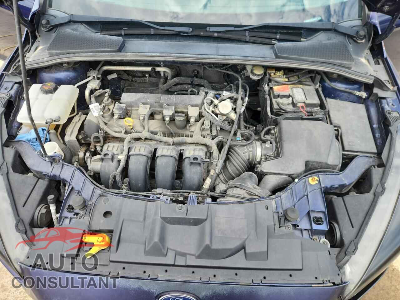 FORD FOCUS 2016 - 1FADP3F21GL330090