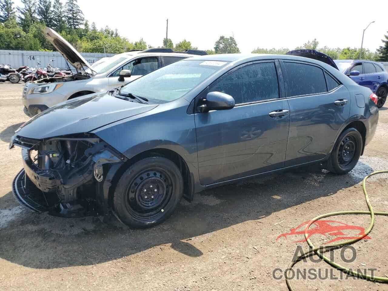 TOYOTA COROLLA 2016 - 2T1BURHEXGC617486