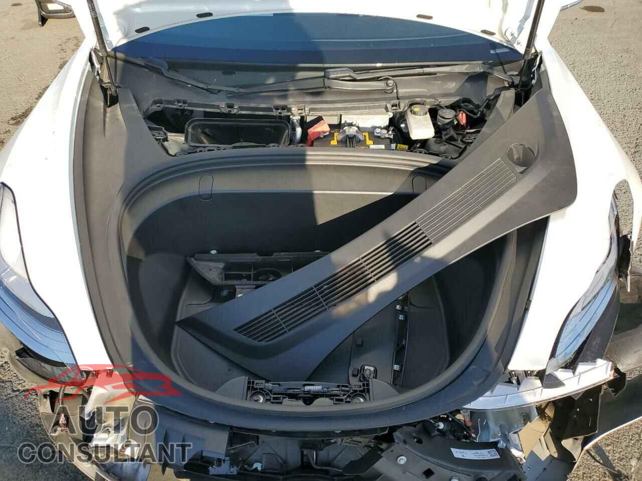 TESLA MODEL 3 2019 - 5YJ3E1EA7KF509447