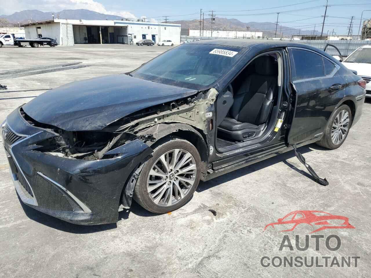 LEXUS ES300 2021 - 58ADA1C19MU009243