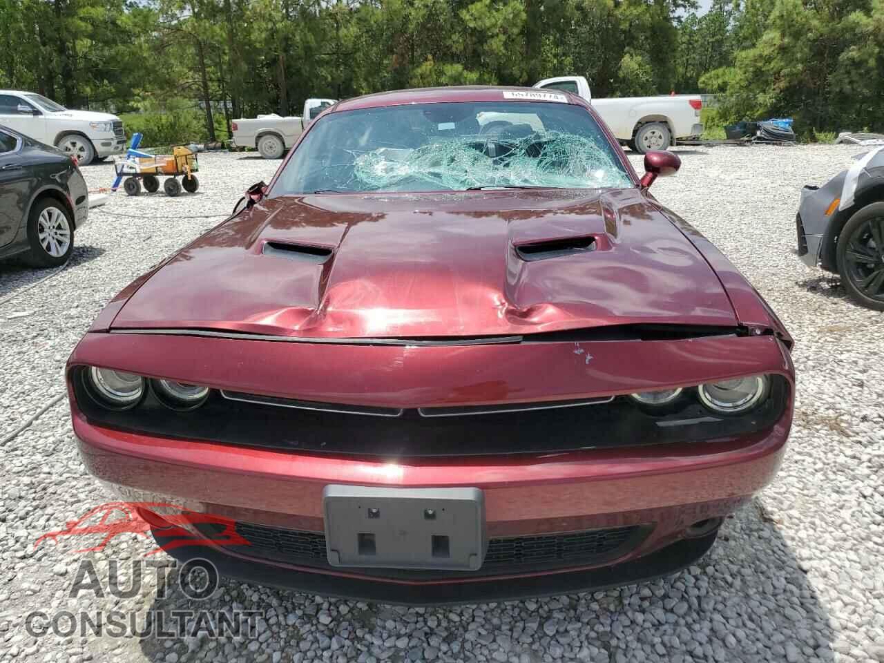 DODGE CHALLENGER 2019 - 2C3CDZAG9KH751604