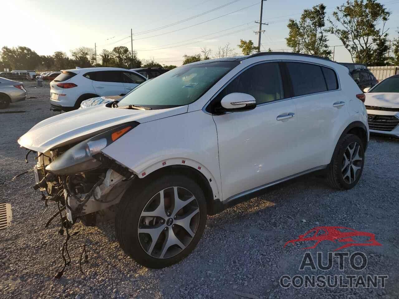 KIA SPORTAGE 2019 - KNDPR3A64K7553155