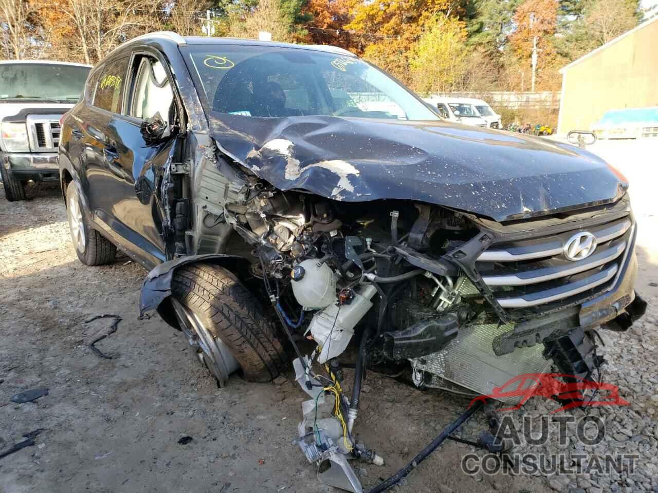 HYUNDAI TUCSON 2017 - KM8J3CA45HU382458