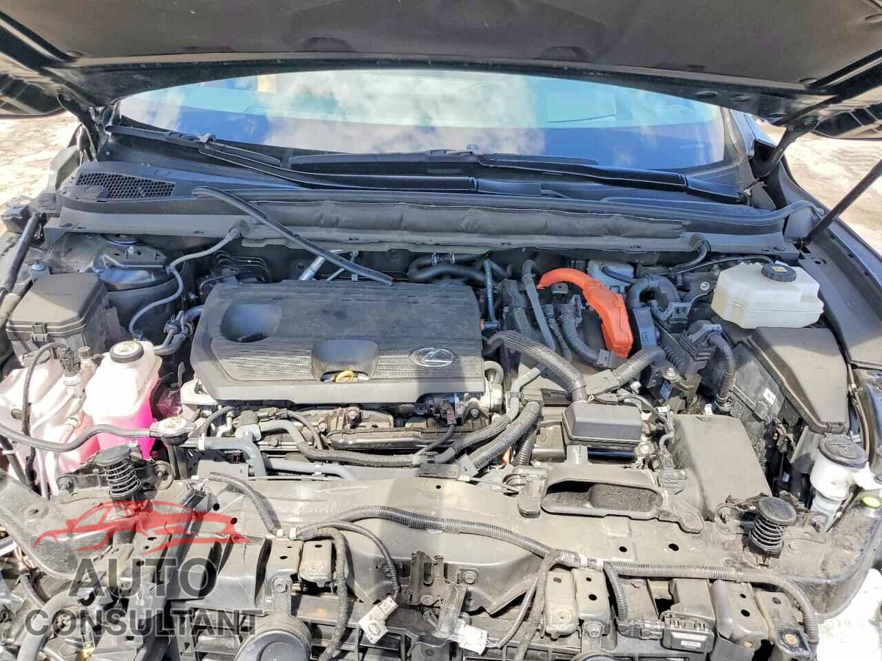 LEXUS UNKNOWN 2023 - 2T2BBMCA2PC005095