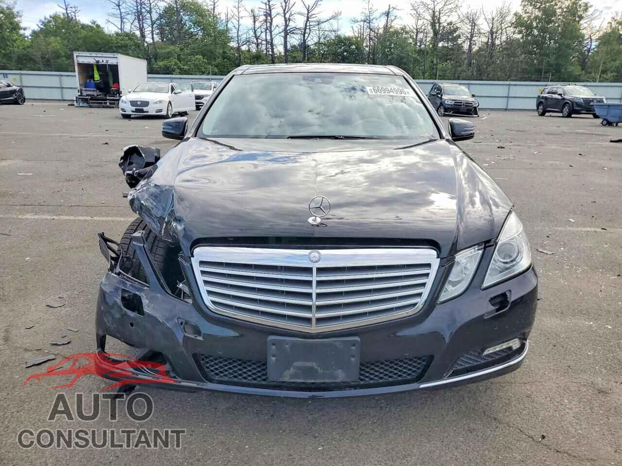 MERCEDES-BENZ E-CLASS 2010 - WDDHF8HBXAA174777