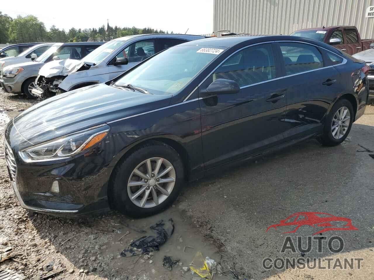 HYUNDAI SONATA 2019 - 5NPE24AF1KH748546