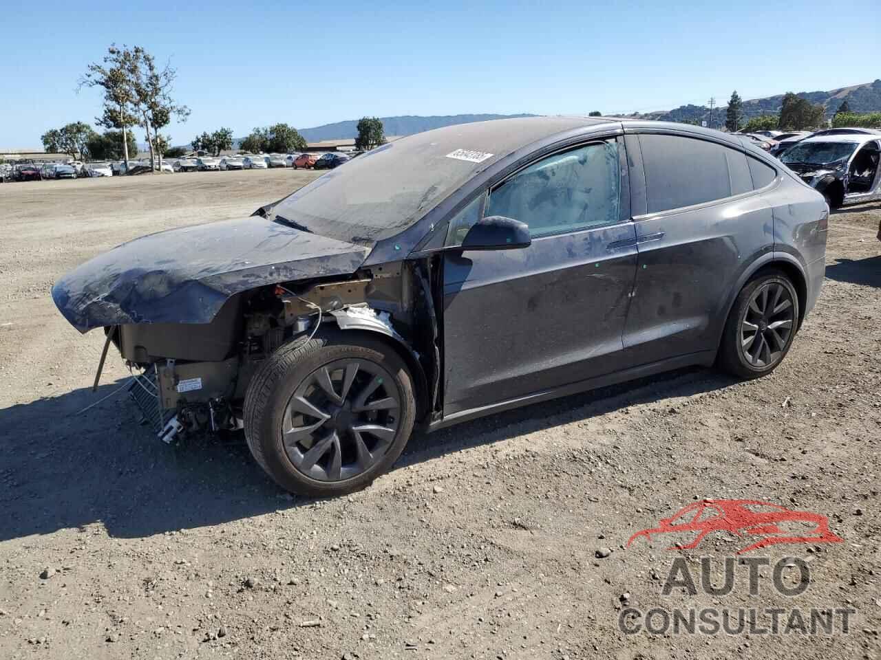 TESLA MODEL X 2024 - 7SAXCBE56RF438318