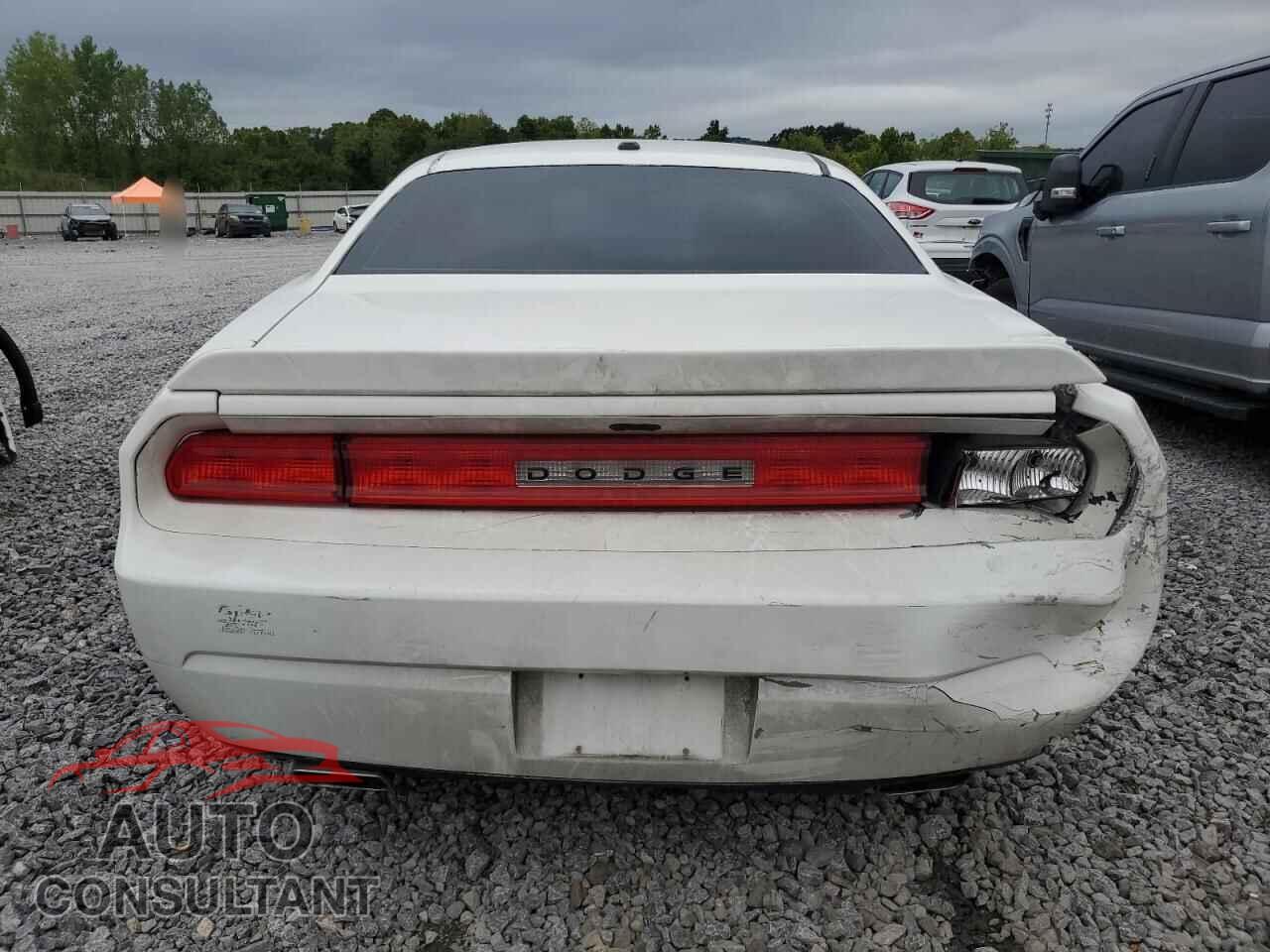 DODGE CHALLENGER 2013 - 2C3CDYAG3DH562492