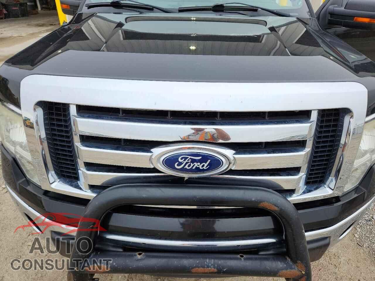 FORD F150 2010 - 1FTEW1E82AFD88551