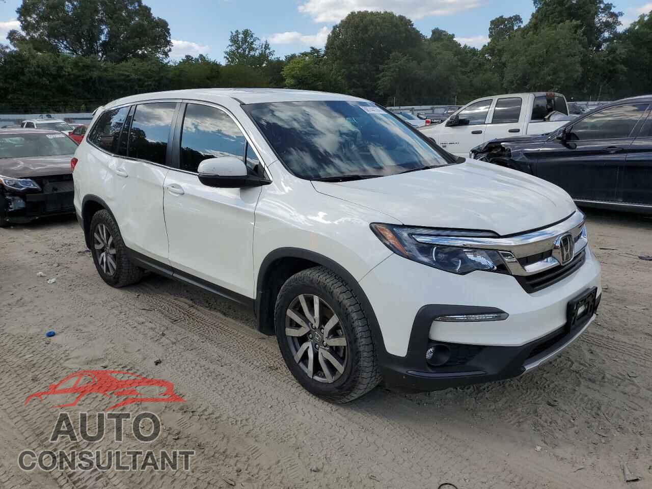 HONDA PILOT 2019 - 5FNYF6H59KB068239